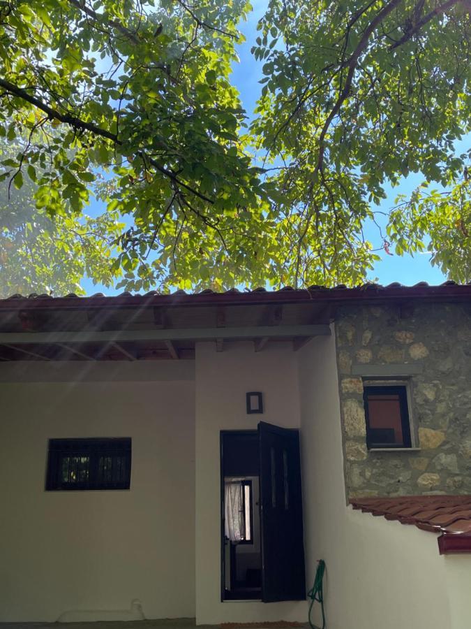 Stymfalia Cozy Village Guesthouse Karteri  Exteriér fotografie